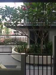 Charlton Residences (D19), Terrace #107452482